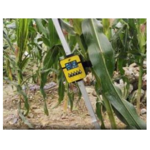 玉米、高粱活体抗倒伏测定仪TPDF-1 