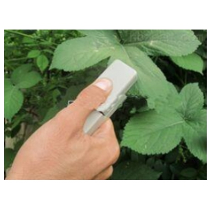 植物叶片温差测量仪TPW-A 