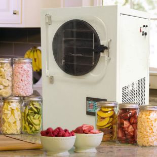 家庭专用冷冻干燥机 家庭专用真空冷冻干燥机