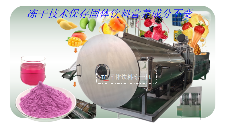 果汁固体饮料冻干工艺流程和固体饮料冻干机设备