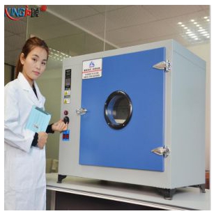 现货高温箱恒温箱电子鼓风干燥箱HK-1400E高温热老化箱