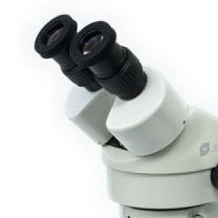 欧米特立体显微镜/体式显微镜宏观解剖外观检查OMT45-B1