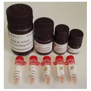 CCK-8试剂盒 WST-8 细胞增殖 细胞毒性 Cell Counting Kit -8