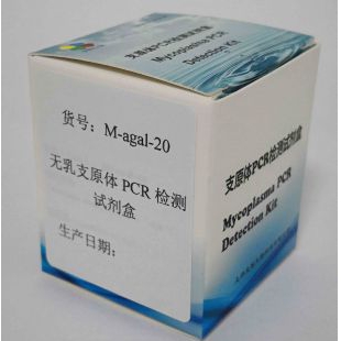 无乳支原体PCR检测试剂盒