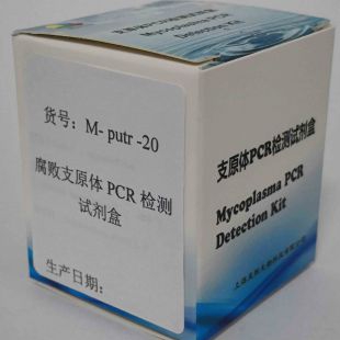 腐败支原体PCR检测试剂盒