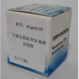 生殖支原体PCR检测试剂盒