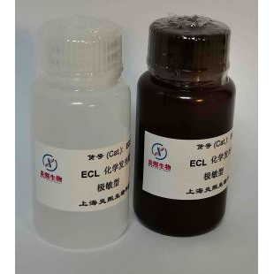 炎熙生物 极敏型 ECL化学发光底物试剂盒