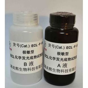 炎熙生物 极敏型 ECL化学发光底物试剂盒