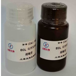 炎熙生物 超敏型 ECL化学发光底物试剂盒
