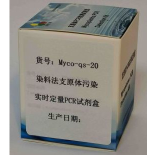 染料法支原体污染实时定量PCR试剂盒