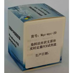 染料法丝状支原体实时定量PCR试剂盒