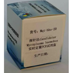 探针法Candidatus Mycoplasma haemobos实时定量PCR试剂盒