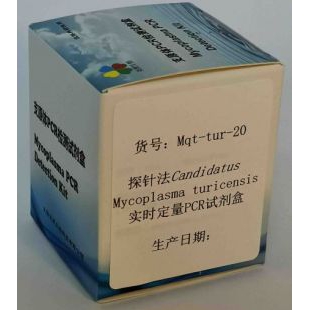探针法Candidatus Mycoplasma turicensis实时定量PCR试剂盒