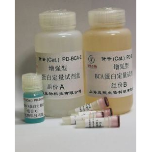 上海炎熙 增强型BCA蛋白定量试剂盒
