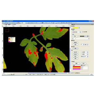 万深LA植物图像分析仪系统【叶面积分析独立版（含叶面积、病斑、虫损面积、叶色分档）