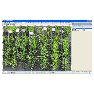 万深LA植物图像分析仪系统【叶面积分析独立版（含叶面积、病斑、虫损面积、叶色分档）