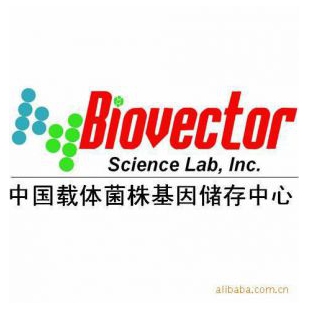 FKBP-beta2(616-951)-GFP质粒载体-BioVector NTCC典型培养物保藏中