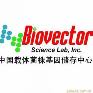 pICSL86922OD质粒载体-BioVector NTCC典型培养物保藏ZX