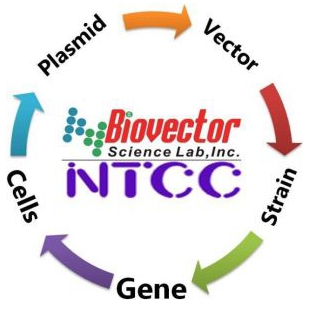 美国普如汀分子生物试剂