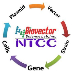 美国普如汀分子生物试剂