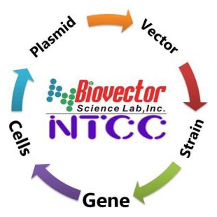 NTCC典型培养物保藏ZX-BioVector质粒载体菌种细胞基因保藏ZX