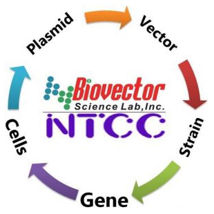NTCC典型培养物保藏ZX-BioVector质粒载体菌种细胞基因保藏ZX