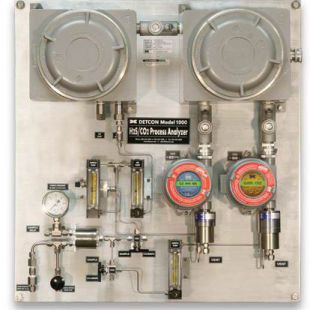 1000型硫化氢、二氧化碳双流程分析仪