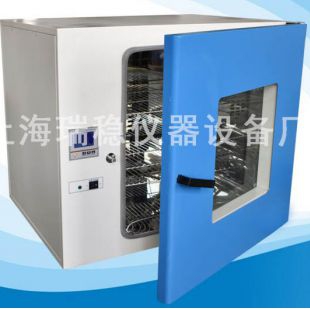 上海瑞稳台式300度电热恒温鼓风干燥箱DHG-920
