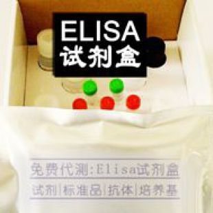 大鼠UK酶标板可拆elisa试剂盒