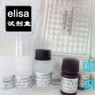 人多巴胺脱羧酶elisa分次实验DDC样本