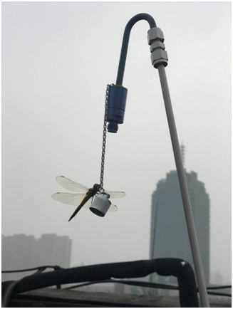 蜻蜓落在RS1200的采样探头上.jpg