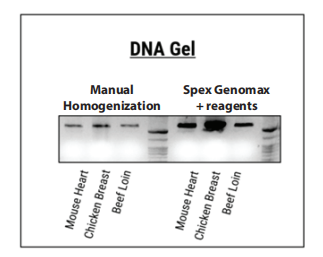 DNA提取方法_3.png