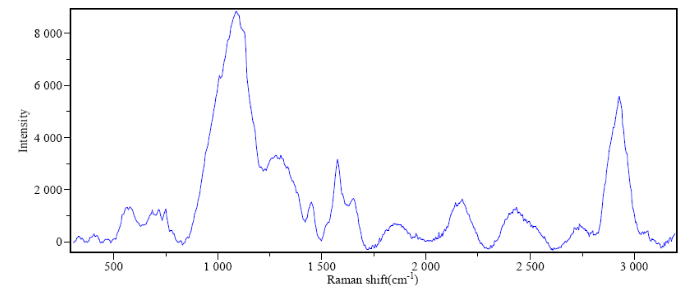 细菌的拉曼光谱图.png