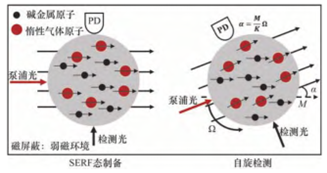 应用案例分享 | 量子技术的发展与应用