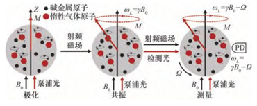 应用案例分享 | 量子技术的发展与应用