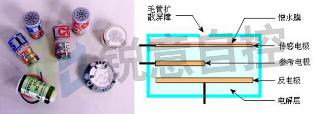 电化学传感器及原理图.jpg