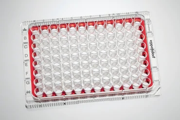 Eppendorf_Consumables_Cell-Culture-Plate-96-Well_filled-outer-moat_product.webp.jpg