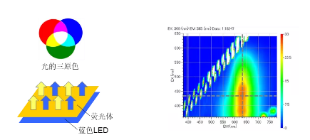 日立实验 | 荧光分布成像系统EEM View观察荧光体树脂片