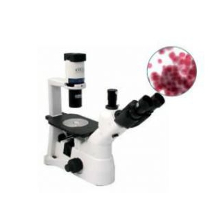 ChemTron MBL3200 专业型双目镜显微镜