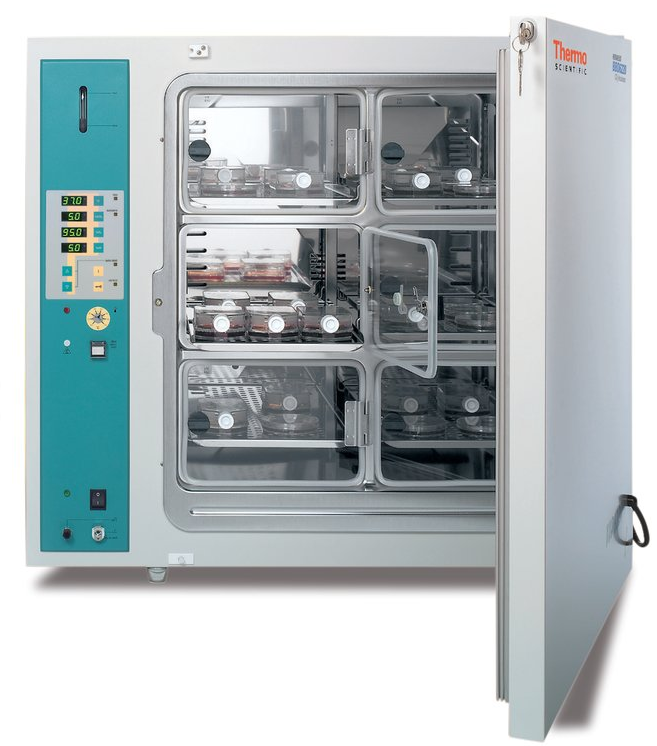Thermo Scientific™ BBD 6220 CO2培养箱.png