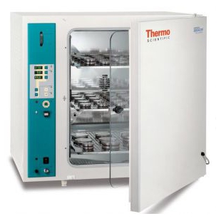 Thermo Scientific™ BBD 6220 CO2培养箱