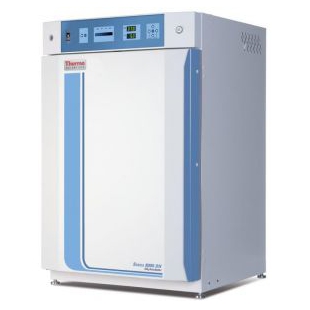 Thermo Scientific™ Forma™ 8000 直热式 CO2 培养箱2三气培养箱