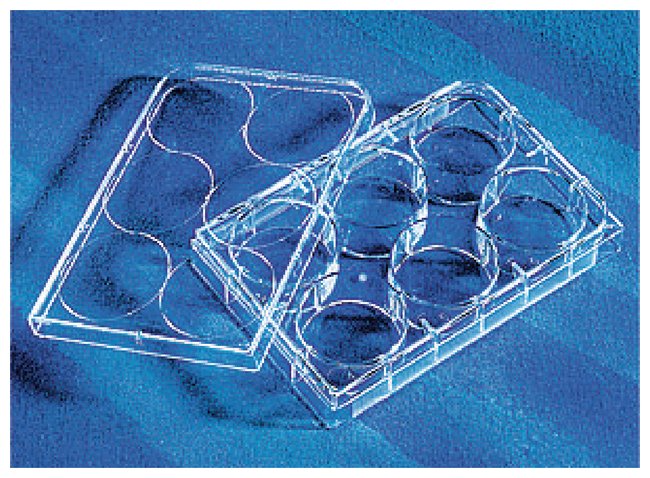 CellBIND™ Surface Microplates