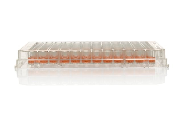 96 Well Plate, Non-Treated, Surface, No Lid, Non-sterile, Pack of 10