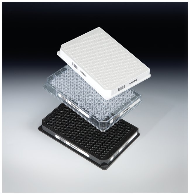 Nunc™ 384 孔浅孔型标准高度透明孔板