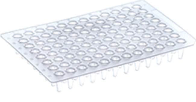 PCR Plate, 96-well, low profile, non-skirted, blue