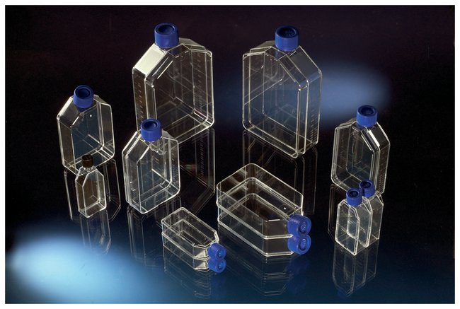 Nunc™ 带实心盖经细胞培养处理的培养瓶