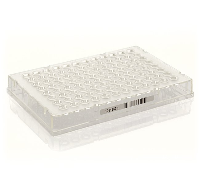 Armadillo PCR 板（96 孔，透明，透明孔，带条形码）