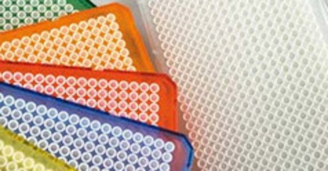 Armadillo PCR Plate, 384-well, orange, clear wells