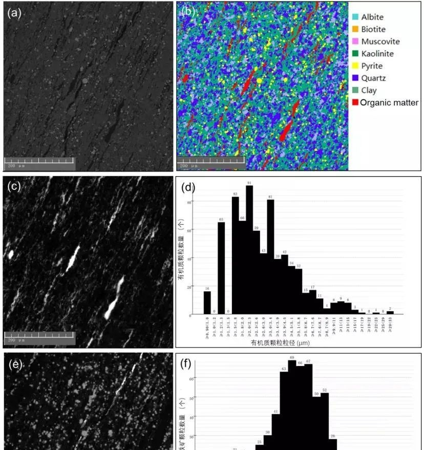 助力科研 | 应用tima分析技术研究alum页岩有机质和黄铁矿粒度分布及